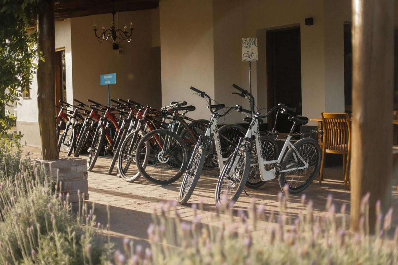 Algodon Wine Estates&champions Club San Rafael (Mendoza)