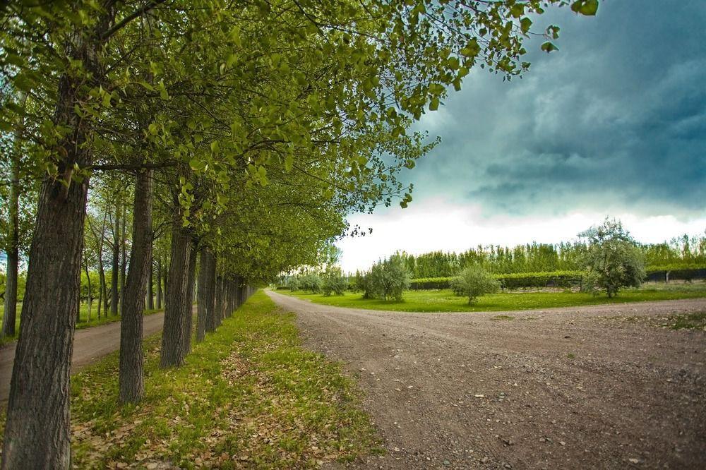 Algodon Wine Estates&champions Club 3* San Rafael (Mendoza)