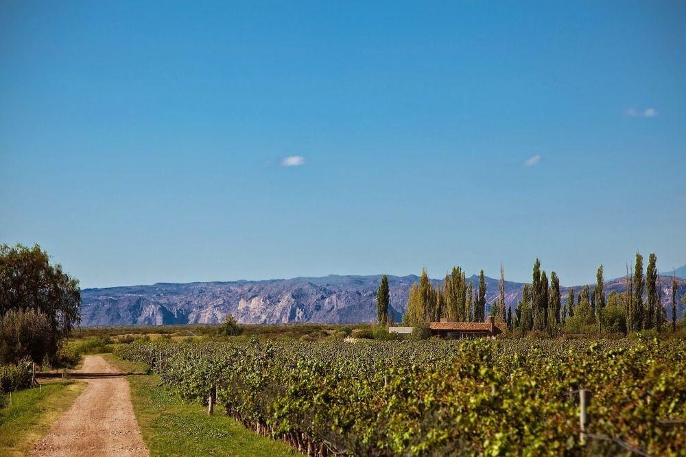 Algodon Wine Estates&champions Club Hotel