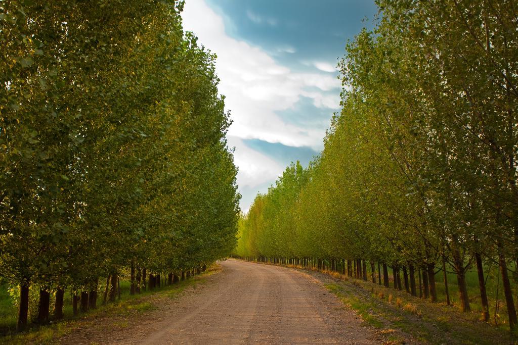 Algodon Wine Estates&champions Club 3* San Rafael (Mendoza)