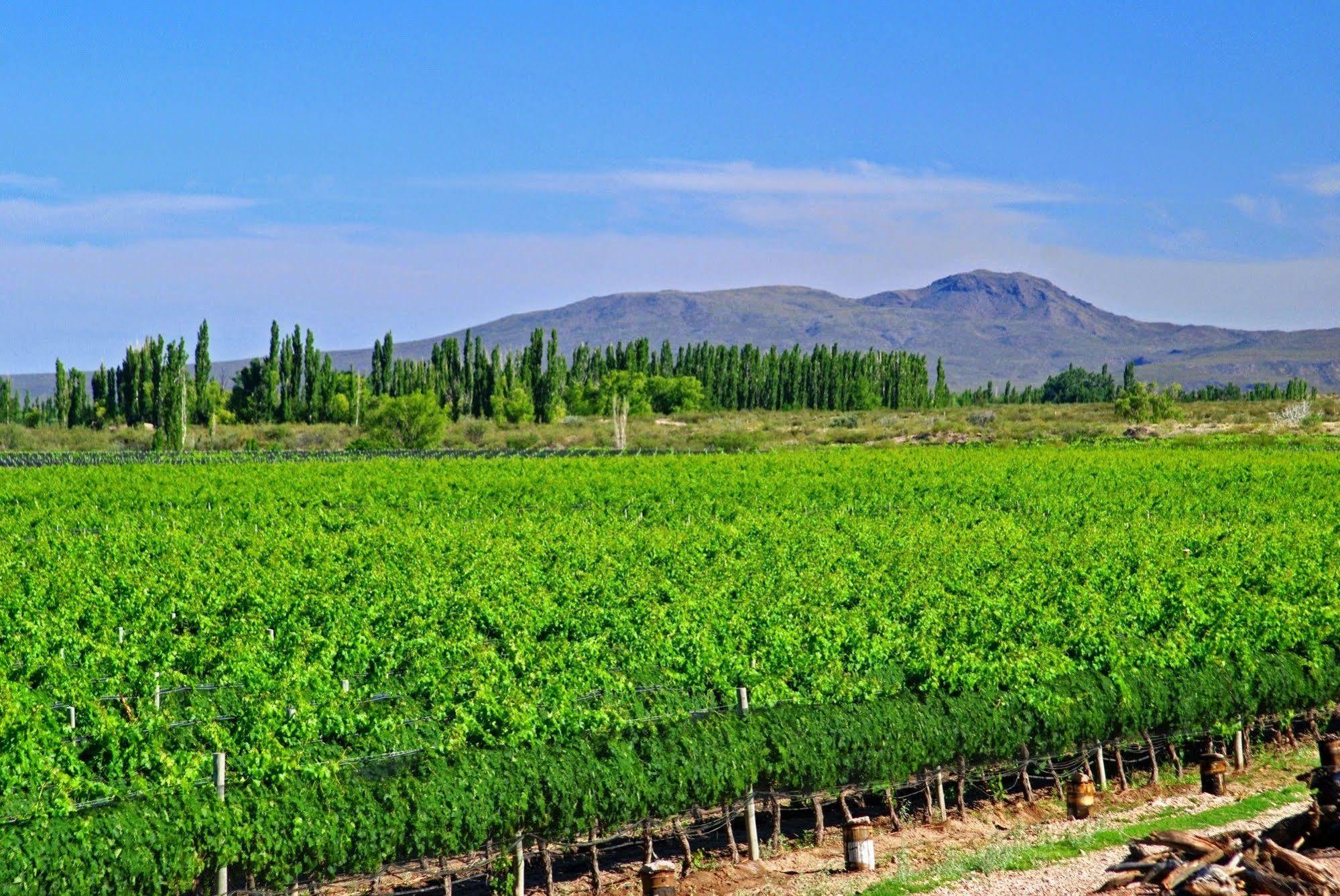 Hotel Algodon Wine Estates&champions Club San Rafael (Mendoza)